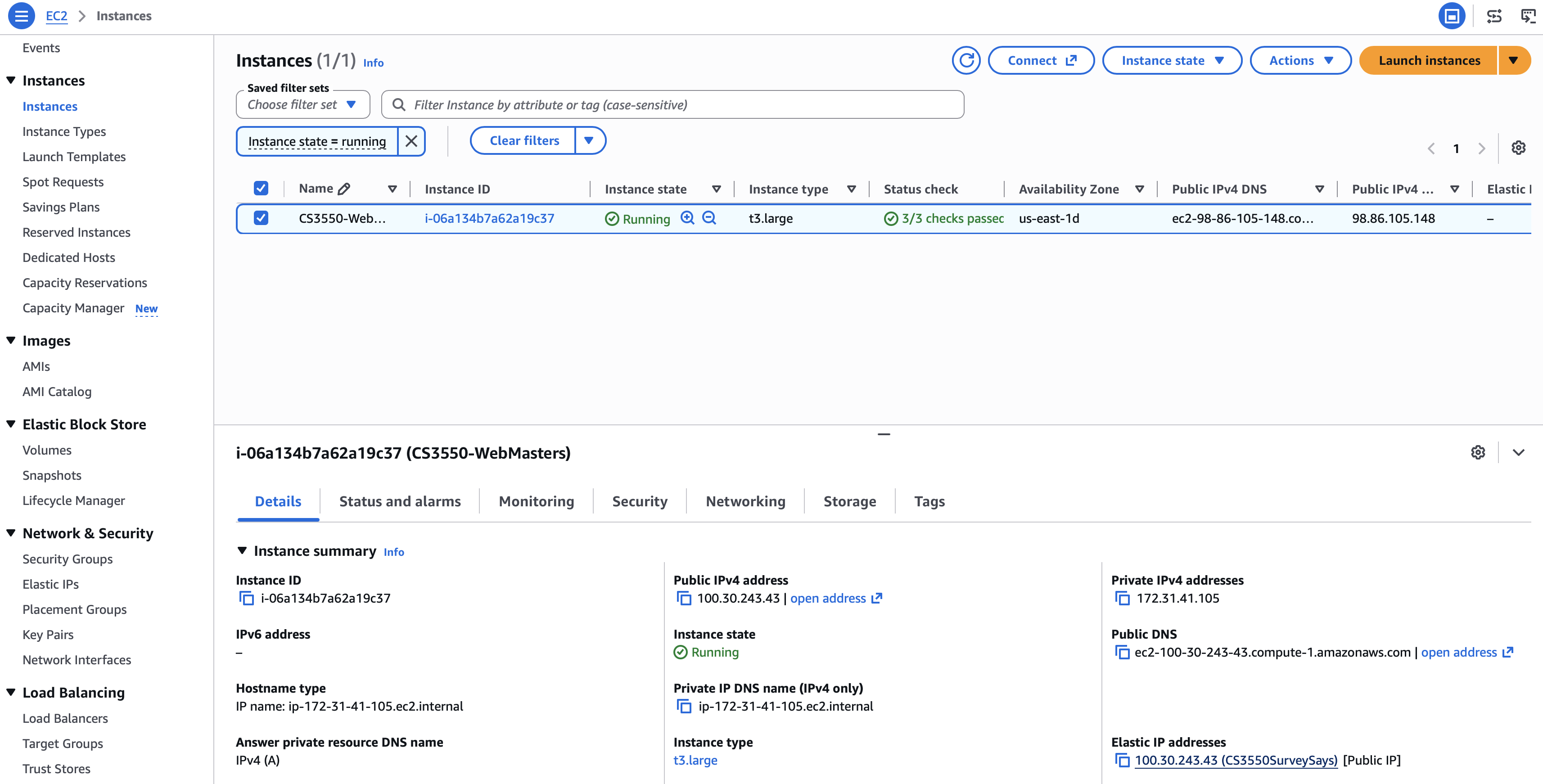 AWS EC2 console showing a running Linux EC2 instance